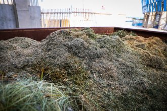 WhatsApp Image 2025-10-24 at 16.44.21.jpeg